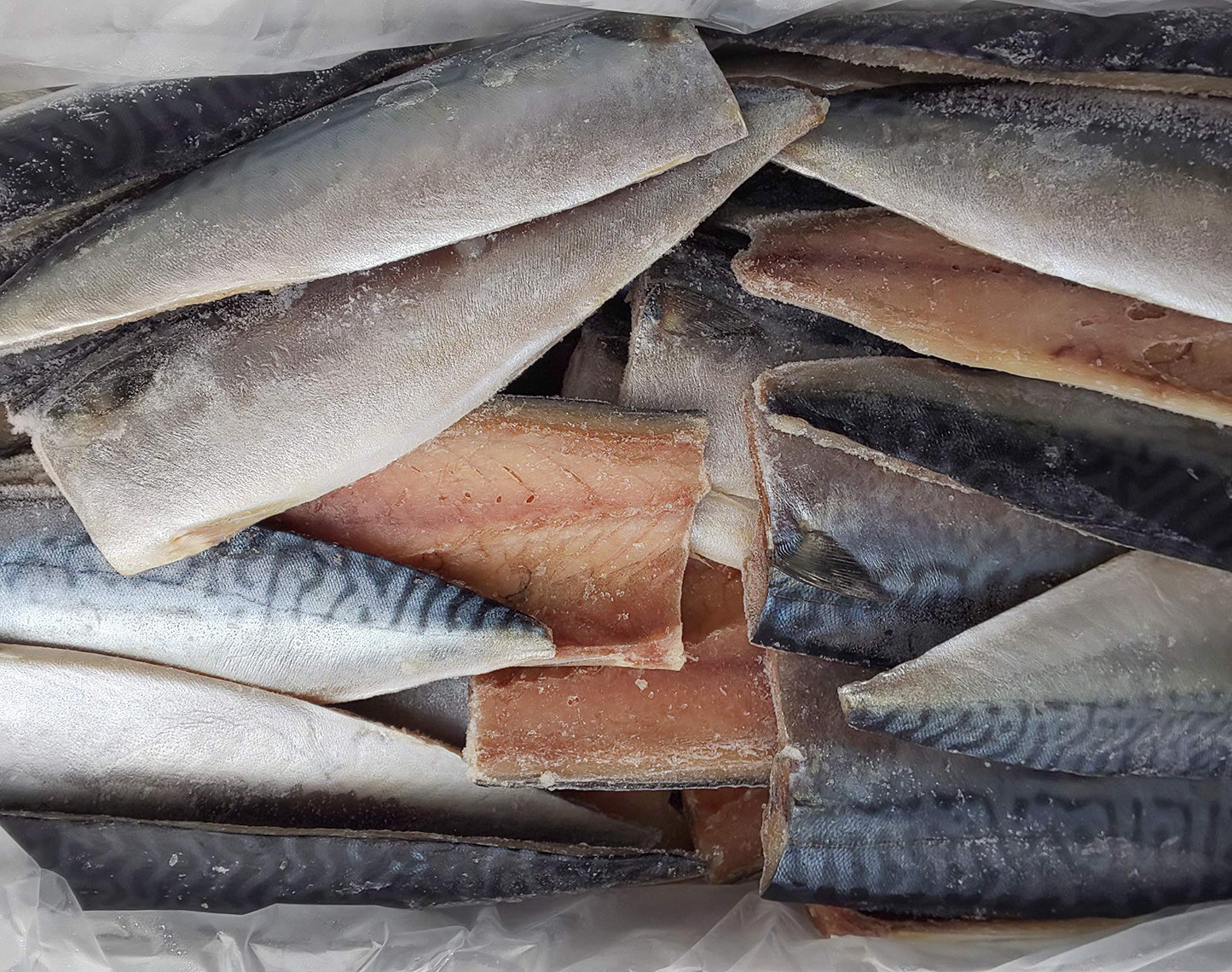 Salt Mackerel